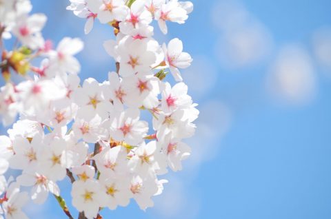 【今年もみなさん早いです。】富山電気ビルの暑さ対策製品 【今年もみなさん早いです。】富山電気ビルの暑さ対策製品