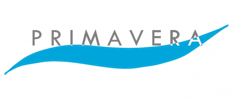 primavera_air_logo