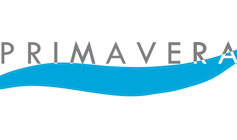 primavera_air_logo